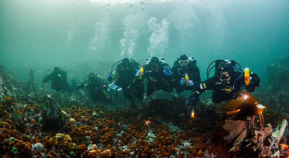 Dykketur til Ålesund